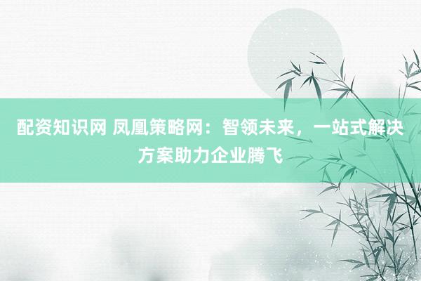 配资知识网 凤凰策略网：智领未来，一站式解决方案助力企业腾飞
