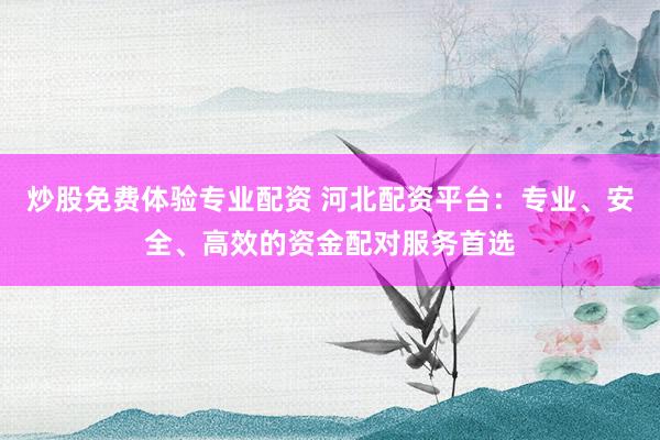 炒股免费体验专业配资 河北配资平台：专业、安全、高效的资金配对服务首选