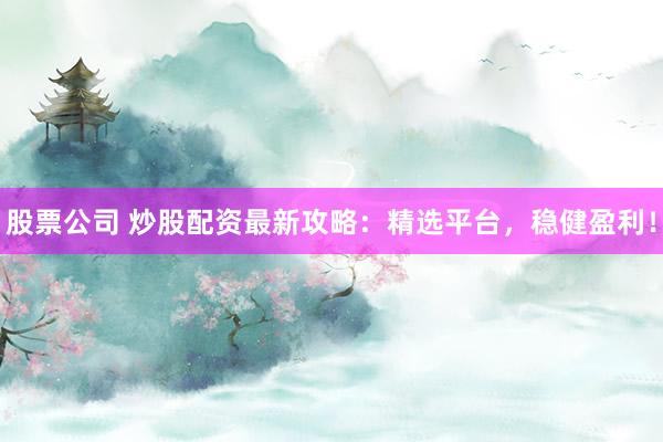股票公司 炒股配资最新攻略：精选平台，稳健盈利！