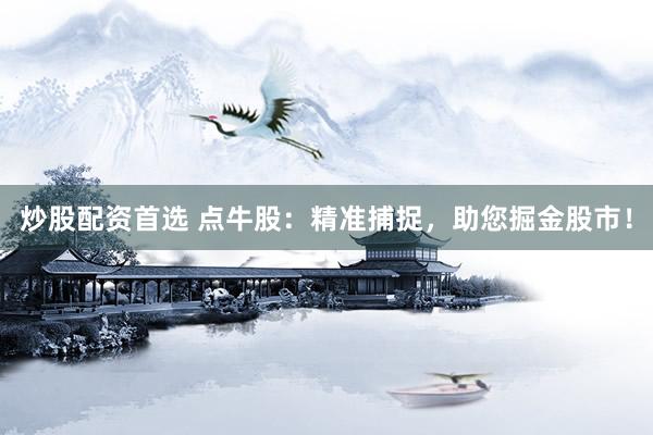 炒股配资首选 点牛股：精准捕捉，助您掘金股市！