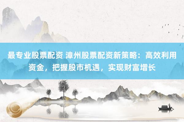最专业股票配资 漳州股票配资新策略：高效利用资金，把握股市机遇，实现财富增长