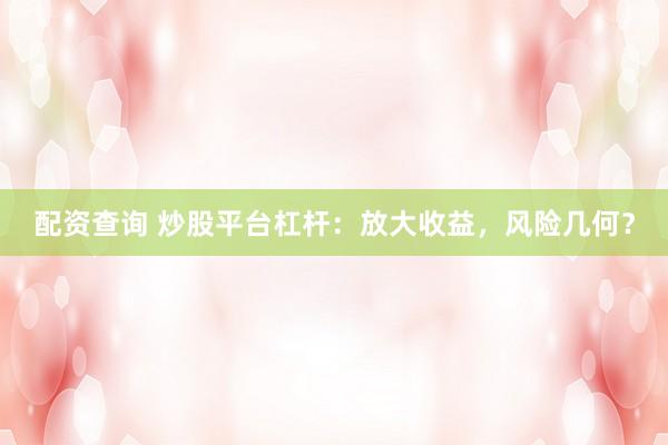 配资查询 炒股平台杠杆：放大收益，风险几何？
