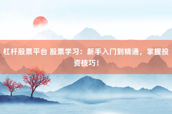 杠杆股票平台 股票学习：新手入门到精通，掌握投资技巧！