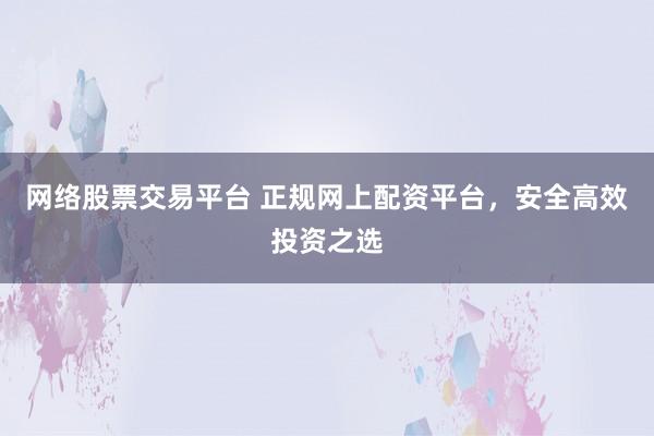 网络股票交易平台 正规网上配资平台，安全高效投资之选