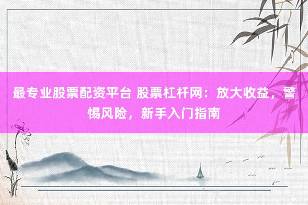 最专业股票配资平台 股票杠杆网：放大收益，警惕风险，新手入门指南