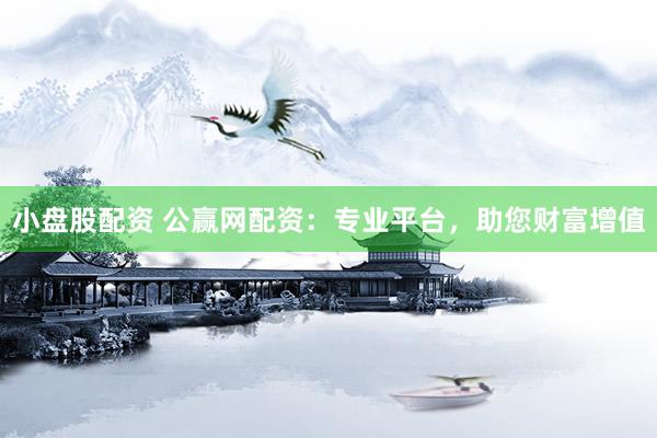 小盘股配资 公赢网配资：专业平台，助您财富增值