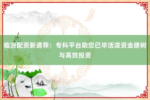 临汾配资新遴荐：专科平台助您已毕活泼资金建树与高效投资