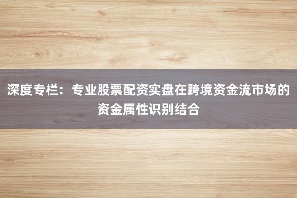 深度专栏：专业股票配资实盘在跨境资金流市场的资金属性识别结合