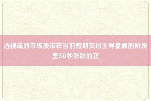 透视成熟市场股市在当前短期交易主导盘面的阶段里30秒涨跌的正