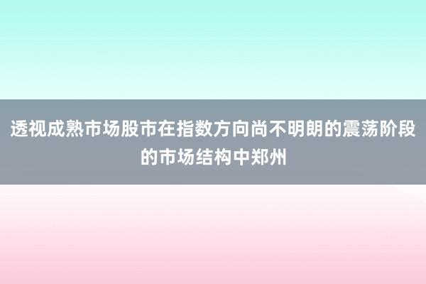 透视成熟市场股市在指数方向尚不明朗的震荡阶段的市场结构中郑州