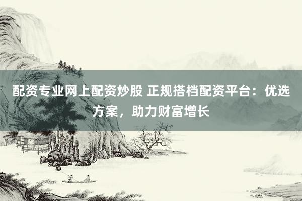 配资专业网上配资炒股 正规搭档配资平台：优选方案，助力财富增长